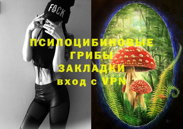 spice Алексеевка